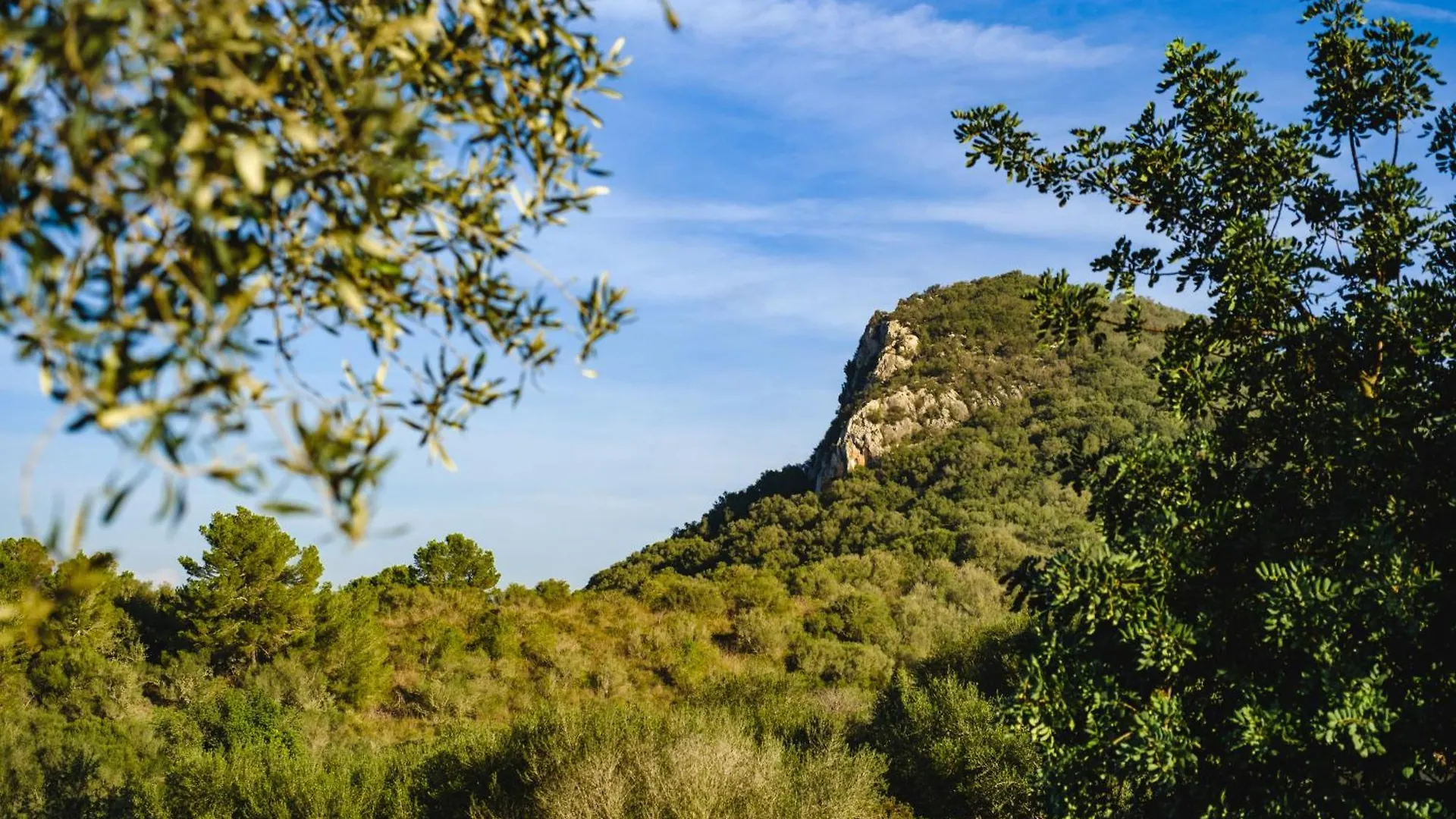 Finca Sa Bastida Luxury Retreat & Spa Adults Only Sant Joan