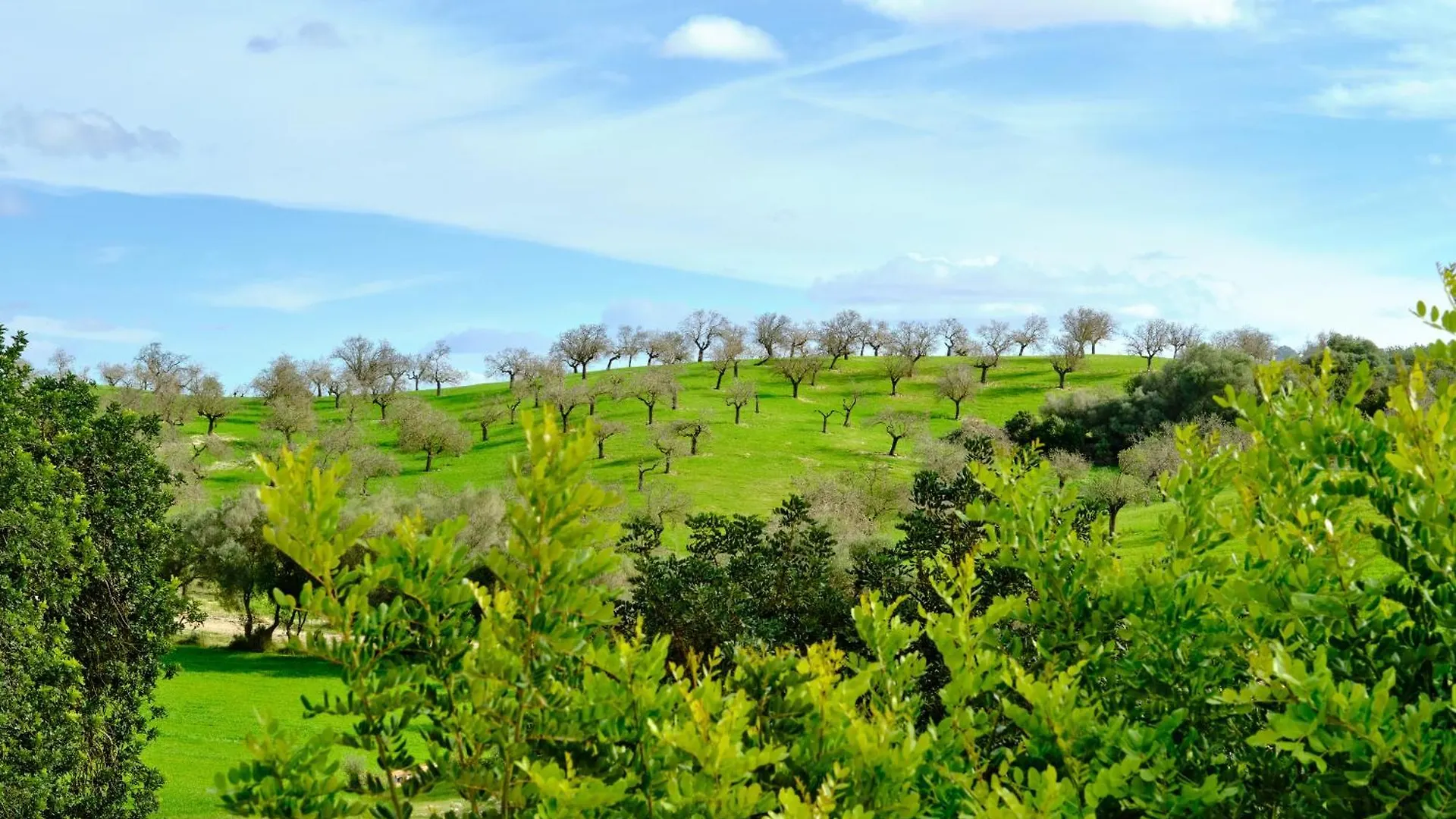 Finca Sa Bastida Luxury Retreat & Spa Adults Only Sant Joan Espanha
