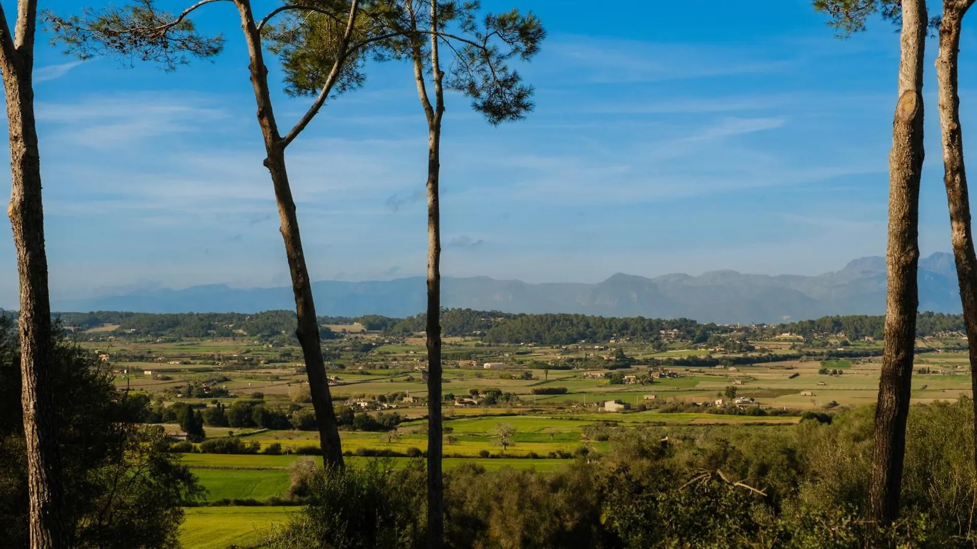 **** Hotel Finca Sa Bastida Luxury Retreat & Spa Adults Only Sant Joan Espagne